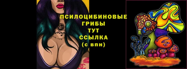 СК Алексин